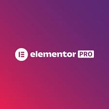 Elementor Pro